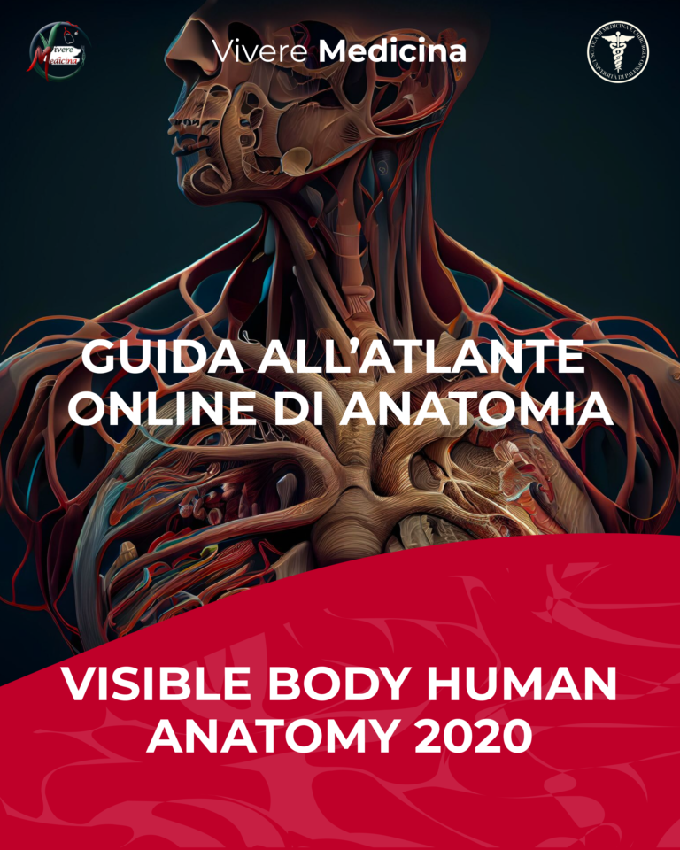 GUIDA ALL’ATLANTE ONLINE DI ANATOMIA (a cura di Giuseppe Maltese)
